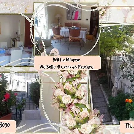 Le Mimose * Pescara